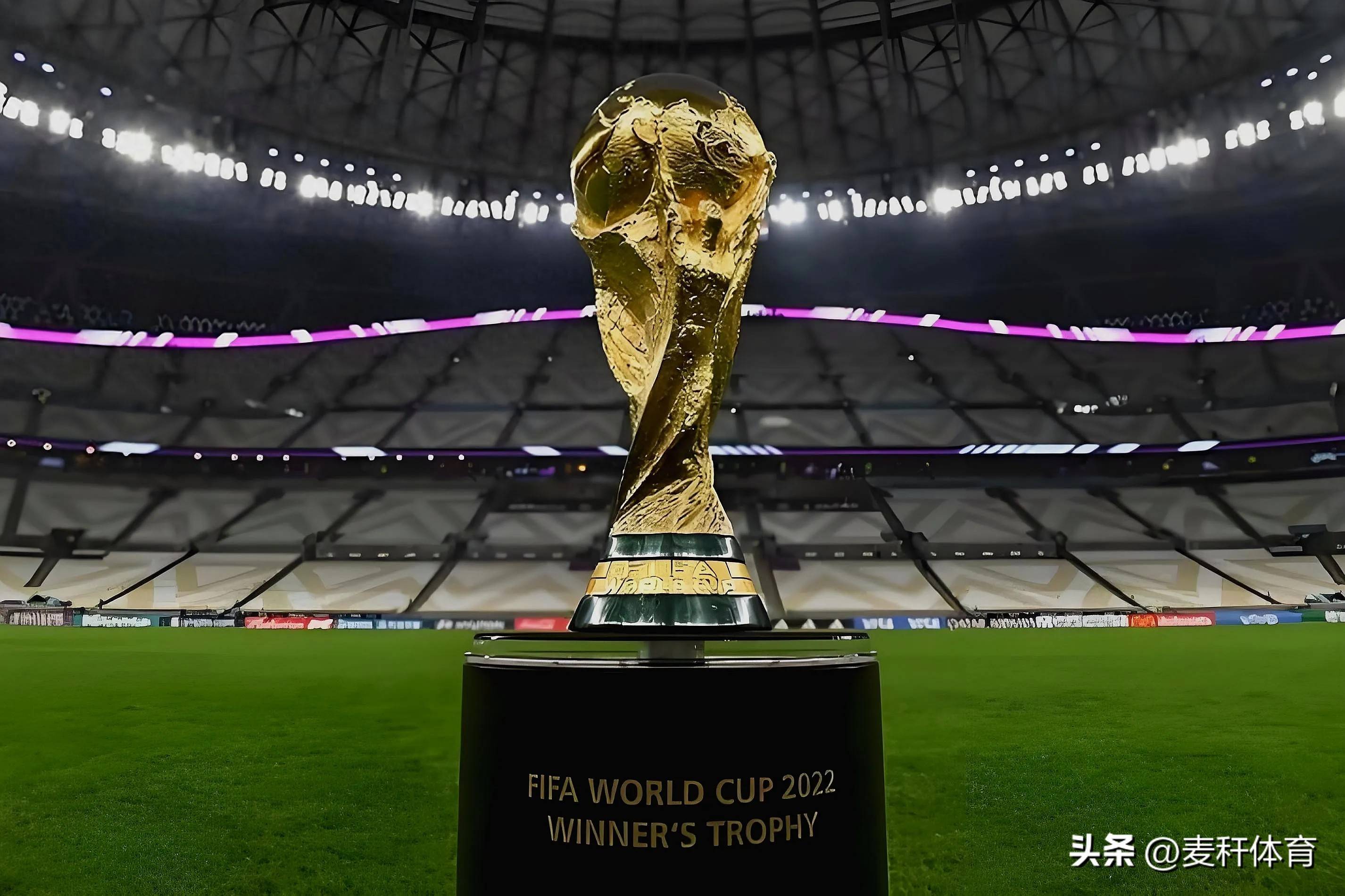 现出了顽强 现出了顽强